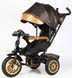 Купить Трехколесный велосипед Best Trike Perfetto 8066 /515-09 (поворотное сидение, надувные колеса, музыка, фара, USB, Bluetooth) 4 472 грн недорого