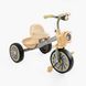 Купити Дитячий триколісний велосипед Best Trike BS-35761 (колеса EVA, музика, світло) 1 271 грн недорого, дешево