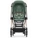 Купить Коляска 2 в 1 Cybex Mios Lux Leaf Green шасси Rosegold 42 690 грн недорого