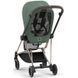 Купить Коляска 2 в 1 Cybex Mios Lux Leaf Green шасси Rosegold 42 690 грн недорого