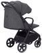 Купити Прогулянкова коляска Carrello Corsa CRL-5518 Solid Grey 6 184 грн недорого