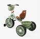 Купить Детский трехколесный велосипед Best Trike BS-76752 (колеса EVA, стальная рама) 1 222 грн недорого