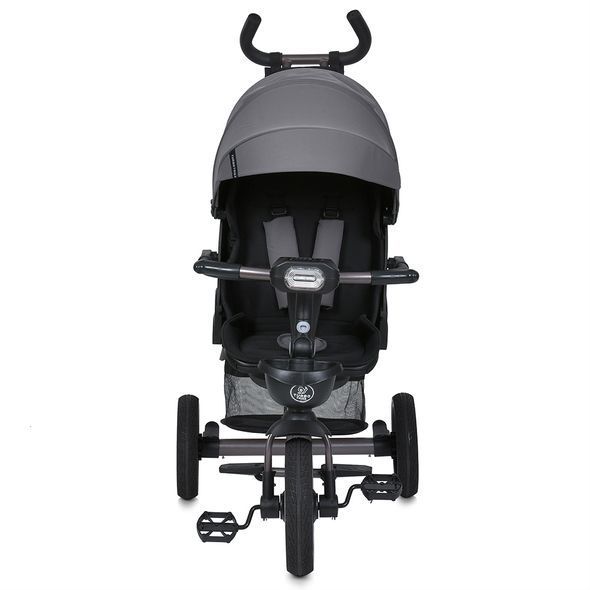 Купить Трехколесный велосипед Turbo Trike MT 1003-2 4 260 грн недорого