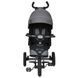 Купить Трехколесный велосипед Turbo Trike MT 1003-2 4 260 грн недорого