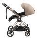 Купить Коляска 2 в 1 Bair Moon Gold Edition MG-03 15 299 грн недорого