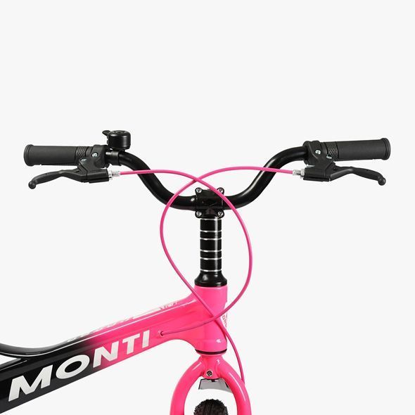 Купить Детский велосипед CORSO 20" Monti MT-20002 (магниева рама, дисковые томоза, дополнительные колеса) 6 127 грн недорого
