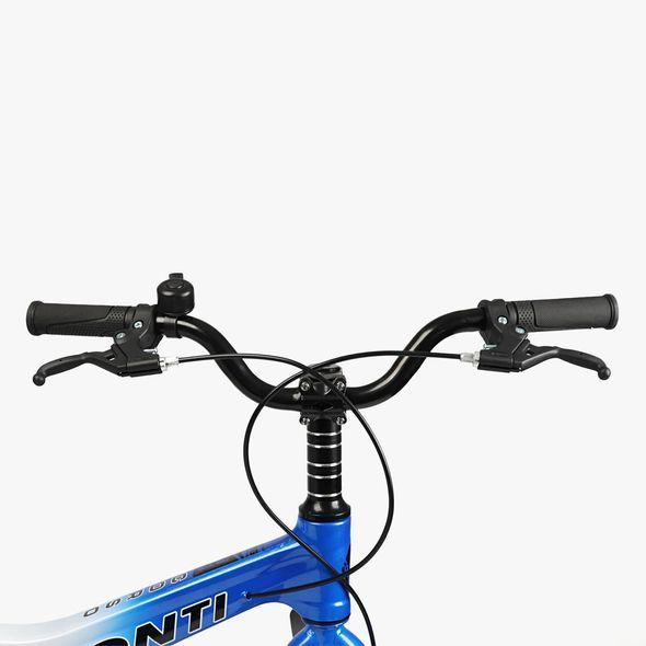 Купить Детский велосипед CORSO 20" Monti MT-20480 (магниева рама, дисковые томоза, дополнительные колеса) 6 127 грн недорого