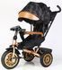 Купить Трехколесный велосипед Best Trike Perfetto 8066 /380-29 (поворотное сидение, надувные колеса, музыка, фара, USB, Bluetooth) 4 541 грн недорого
