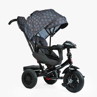 Купити Трьохколісний велосипед Best Trike Perfetto 8066 /107-10 4 518 грн недорого, дешево