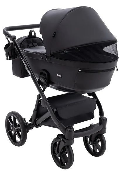 Купить Коляска 2 в 1 Bair Kiwi Plus Eco BKP-15 19 799 грн недорого
