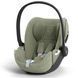 Купити Автокрісло Cybex Cloud T i-Size plus Sage Green 12 390 грн недорого, дешево