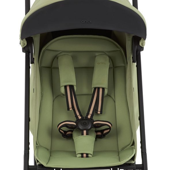 Купить Прогулочная коляска Anex Air-X&sup2; Vert 14 899 грн недорого