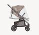 Купити Прогулянкова коляска Anex Ride Warmly (RD-02) 15 999 грн недорого