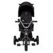 Купити Триколісний велосипед Kinderkraft Easytwist Black 6 690 грн недорого