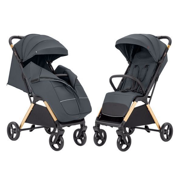 Купить Прогулочная коляска Carrello Cross CRL-5523 Eagle Grey 6 712 грн недорого