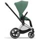 Купити Коляска дитяча 2 в 1 Cybex Priam Leaf Green шасі Chrome Black 51 600 грн недорого