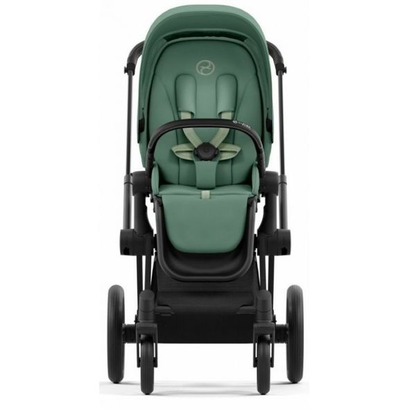 Купити Коляска дитяча 2 в 1 Cybex Priam Leaf Green шасі Matt Black 51 600 грн недорого, дешево