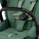 Купити Коляска дитяча 2 в 1 Cybex Priam Leaf Green шасі Matt Black 51 600 грн недорого