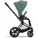 Купити Коляска дитяча 2 в 1 Cybex Priam Leaf Green шасі Matt Black 51 600 грн недорого