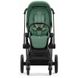 Купити Коляска дитяча 2 в 1 Cybex Priam Leaf Green шасі Matt Black 51 600 грн недорого