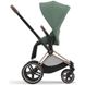 Купити Коляска дитяча 2 в 1 Cybex Priam Leaf Green шасі Rosegold 53 600 грн недорого