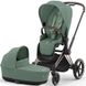 Купити Коляска дитяча 2 в 1 Cybex Priam Leaf Green шасі Rosegold 53 600 грн недорого