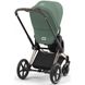 Купити Коляска дитяча 2 в 1 Cybex Priam Leaf Green шасі Rosegold 53 600 грн недорого