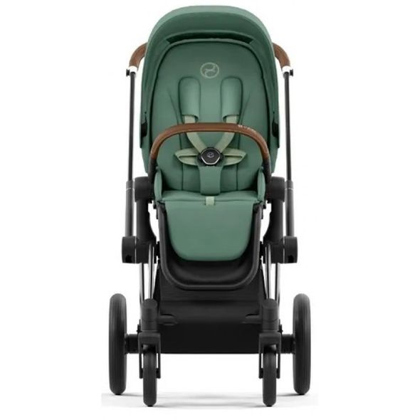 Купити Коляска дитяча 2 в 1 Cybex Priam Leaf Green шасі Chrome Brown 51 600 грн недорого, дешево