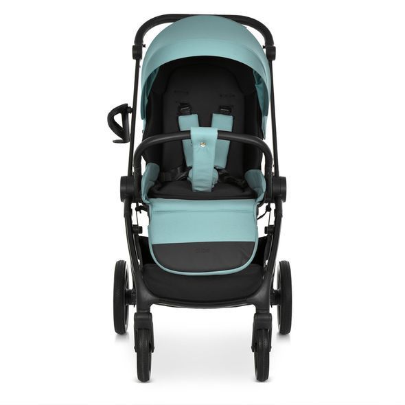 Купить Коляска универсальная 2в1 El Camino CHLOE ME 1191-1 Emerald Green 12 562 грн недорого