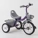 Купити Трьохколісний велосипед Best Trike BS-4298 1 224 грн недорого
