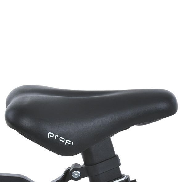 Купить Велосипед детский Profi 16" Stellar MB 161020-9 4 300 грн недорого