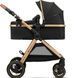 Купить Коляска 2 в 1 Kinderkraft Esme Black 9 490 грн недорого