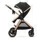 Купити Коляска 2 в 1 Kinderkraft Esme Black 9 490 грн недорого