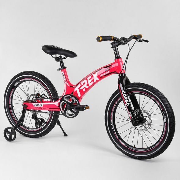 Купить Велосипед детский CORSO 20" T-REX 38304  недорого