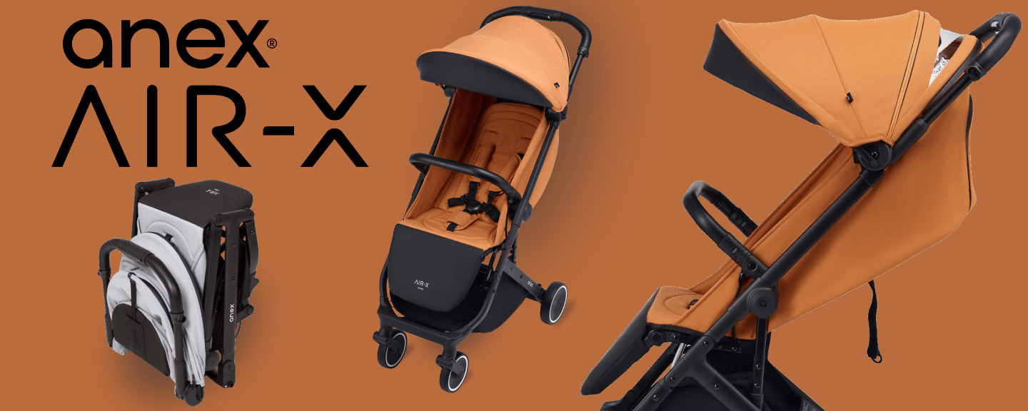Прогулянкова коляска Anex-X