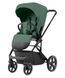 Купить Коляска 2 в 1 Carrello Alfa CRL-6522 Meadow Green 18 240 грн недорого