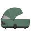 Купить Коляска 2 в 1 Carrello Alfa CRL-6522 Meadow Green 18 240 грн недорого