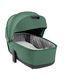 Купить Коляска 2 в 1 Carrello Alfa CRL-6522 Meadow Green 18 240 грн недорого