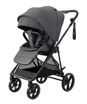 Купити Прогулянкова коляска Carrello Extra CRL-5532 Chrome Grey 9 440 грн недорого, дешево
