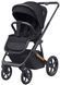 Купить Коляска 2 в 1 Carrello Sigma CRL-6523 Iridium Black 18 680 грн недорого