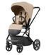 Купить Коляска 2 в 1 Carrello Alfa CRL-6522 Natural Beige 18 240 грн недорого