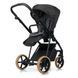 Купить Коляска 2 в 1 Roan Ivi VC Cooper Glow 30 900 грн недорого