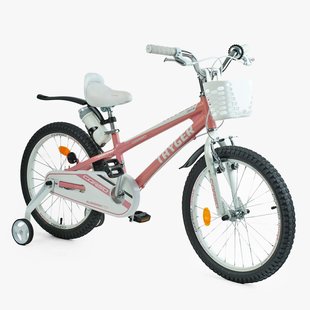 Купити Велосипед дитячий CORSO 20" Tayger TG-45933 5 564 грн недорого, дешево