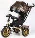 Купить Трехколесный велосипед Best Trike Perfetto 8066 /819-40 (поворотное сидение, надувные колеса, музыка, фара, USB, Bluetooth) 4 541 грн недорого