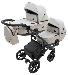 Купить Коляска 2 в 1 для двойни Bair Kiwi DUO ECO BKD-32/33 25 899 грн недорого