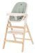 Купити Стільчик для годування з шезлонгом Carrello Ergo CRL-16701 Elora Green 6 492 грн недорого