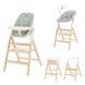 Купити Стільчик для годування з шезлонгом Carrello Ergo CRL-16701 Elora Green 6 492 грн недорого